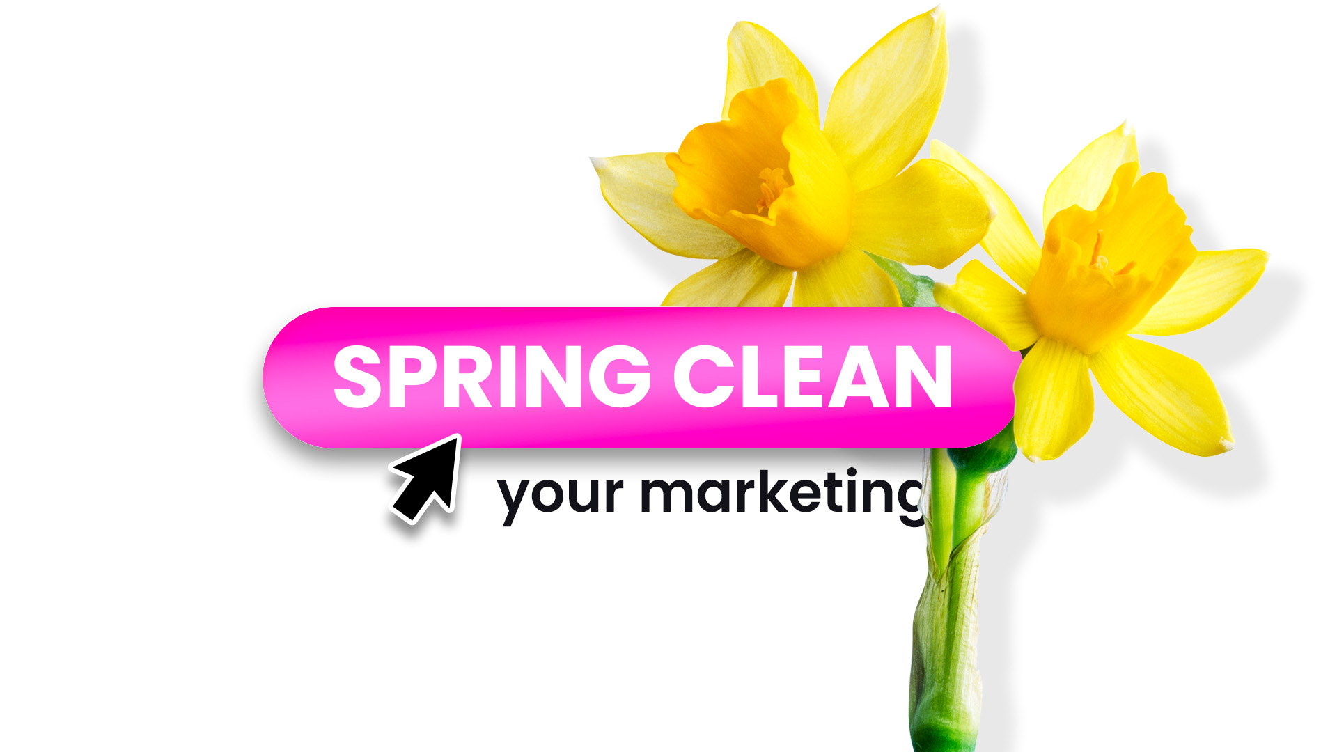 spring clean your marketing